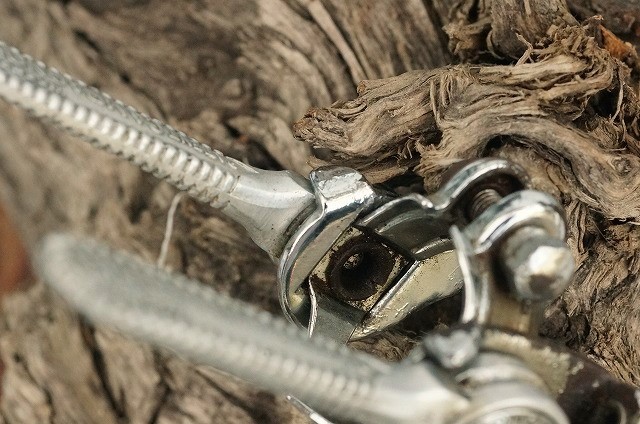 カンパニョーロ パーツ CAMPAGNOLO ロードレーサー用 W シフトレバー (当時物)_背景の木は付属しません。