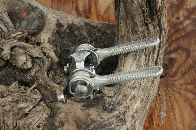 カンパニョーロ パーツ CAMPAGNOLO ロードレーサー用 W シフトレバー (当時物)_背景の木は付属しません。