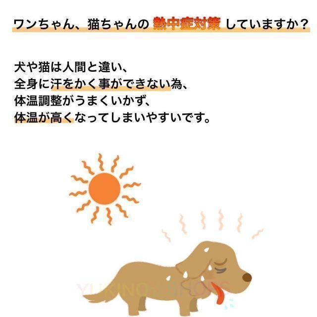 【保冷剤付き】L ネッククーラー ブルー　犬 ペット　暑さ対策 熱中症_画像2