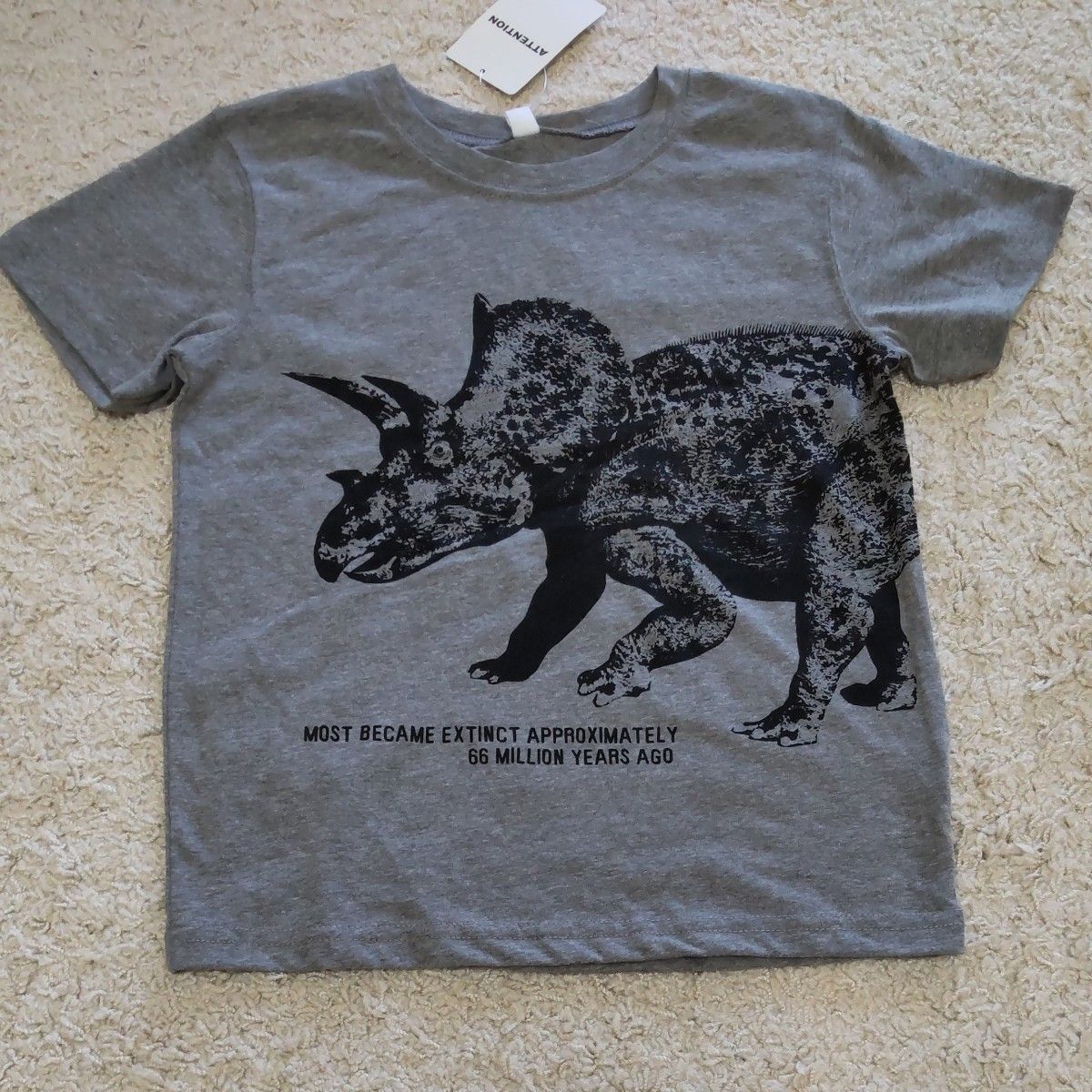 【タグ付き新品】恐竜　半袖Tシャツ&ハーフパンツ　130