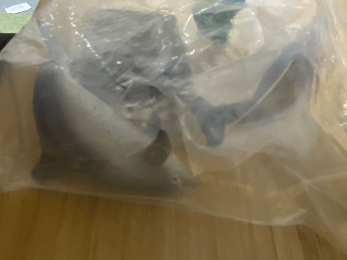 小笠原 シークレット含む6種セット ユウゼン アオウミガメ 小笠原 シークレット含む6種セット ユウゼン アオウミガメ