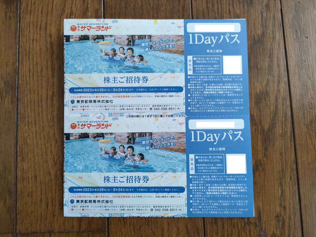 東京サマーランド株主ご招待券2枚セット株主優待券フリーパス-日本