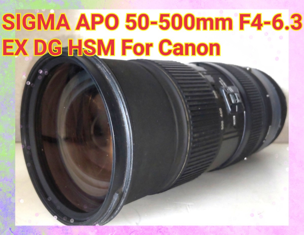 最も F4-6.3 50-500mm SIGMA ★実用品★ EX CANON HSM DG キヤノン 最も F4-6.3 50-500mm SIGMA ★実用品★ EX CANON HSM DG キヤノン