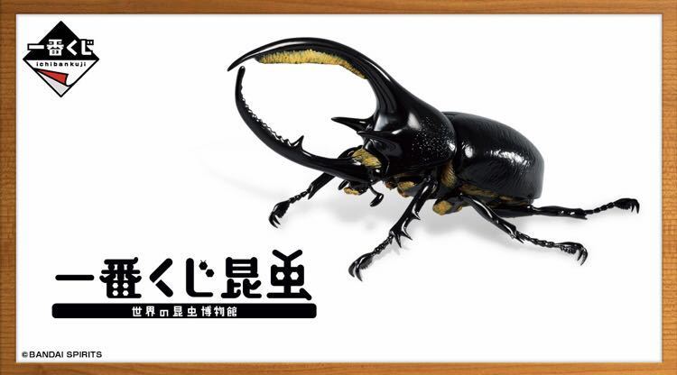 一番くじ昆虫 世界の昆虫博物館/I賞・タオル：カブトムシとクワガタ、1枚のみの出品 新品 検索/ネプチューンオオカブト、ギラファノコギリ_画像2