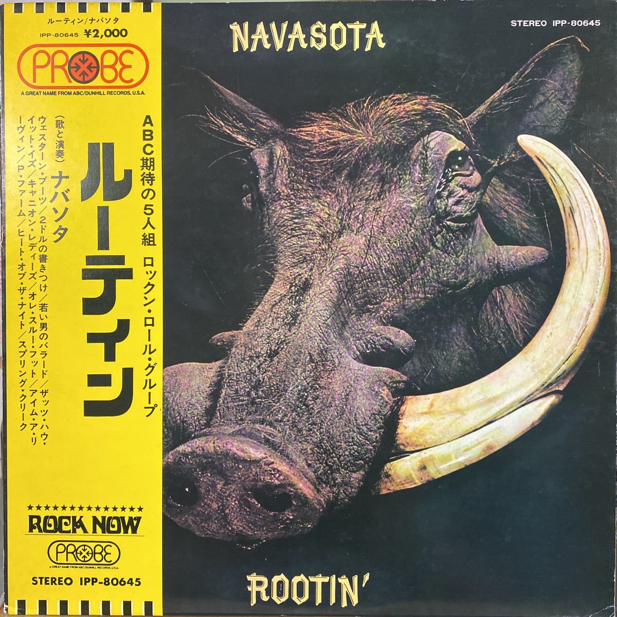  Toshiba sound . original sample white label ROCK NOW supplement with belt beautiful record Donald *feigen Jeff * Baxter participation *nabasota/ Roo tinSTEELY dan