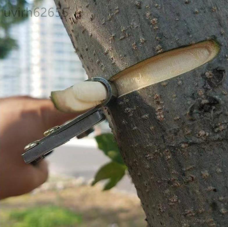  high quality * gardening for knife . shape peeling leather taking tree . peeling leather .. shape peeling leather knife plier type razor attaching .. . leather peeling . taking . fruit tree for work steel made 