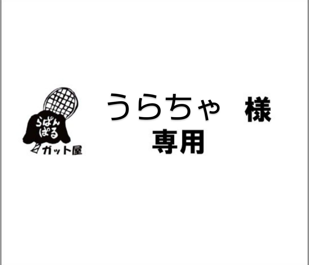 うらちゃ様専用ページ】3張りセット｜Yahoo!フリマ（旧PayPayフリマ）