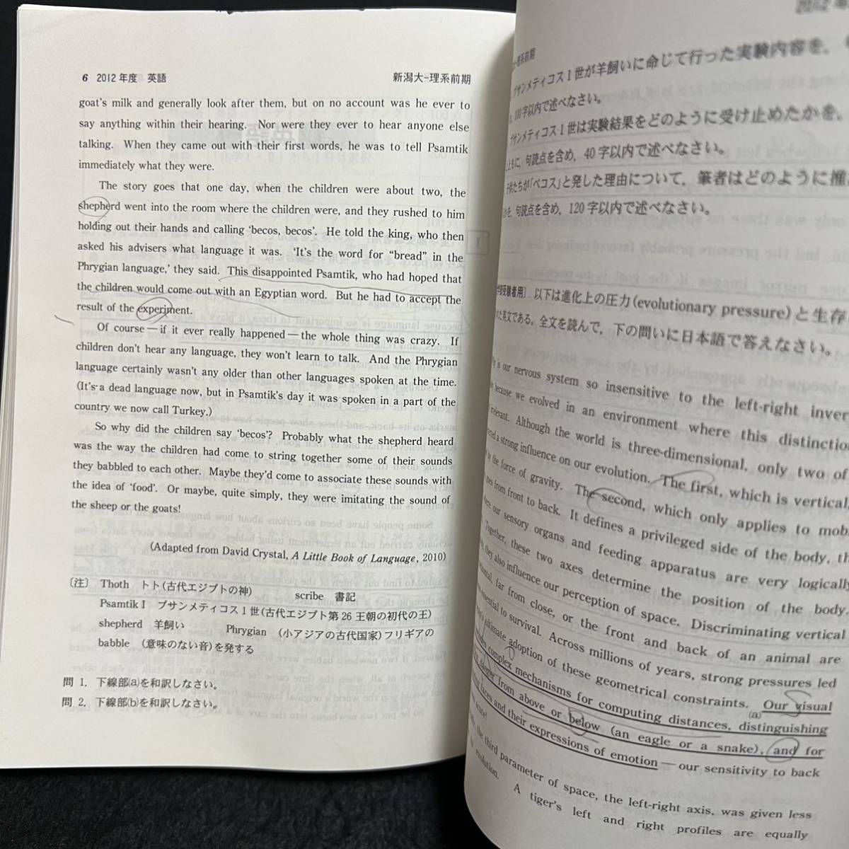 【翌日発送】　赤本　新潟大学　理系　医学部　2008年～2019年　12年分