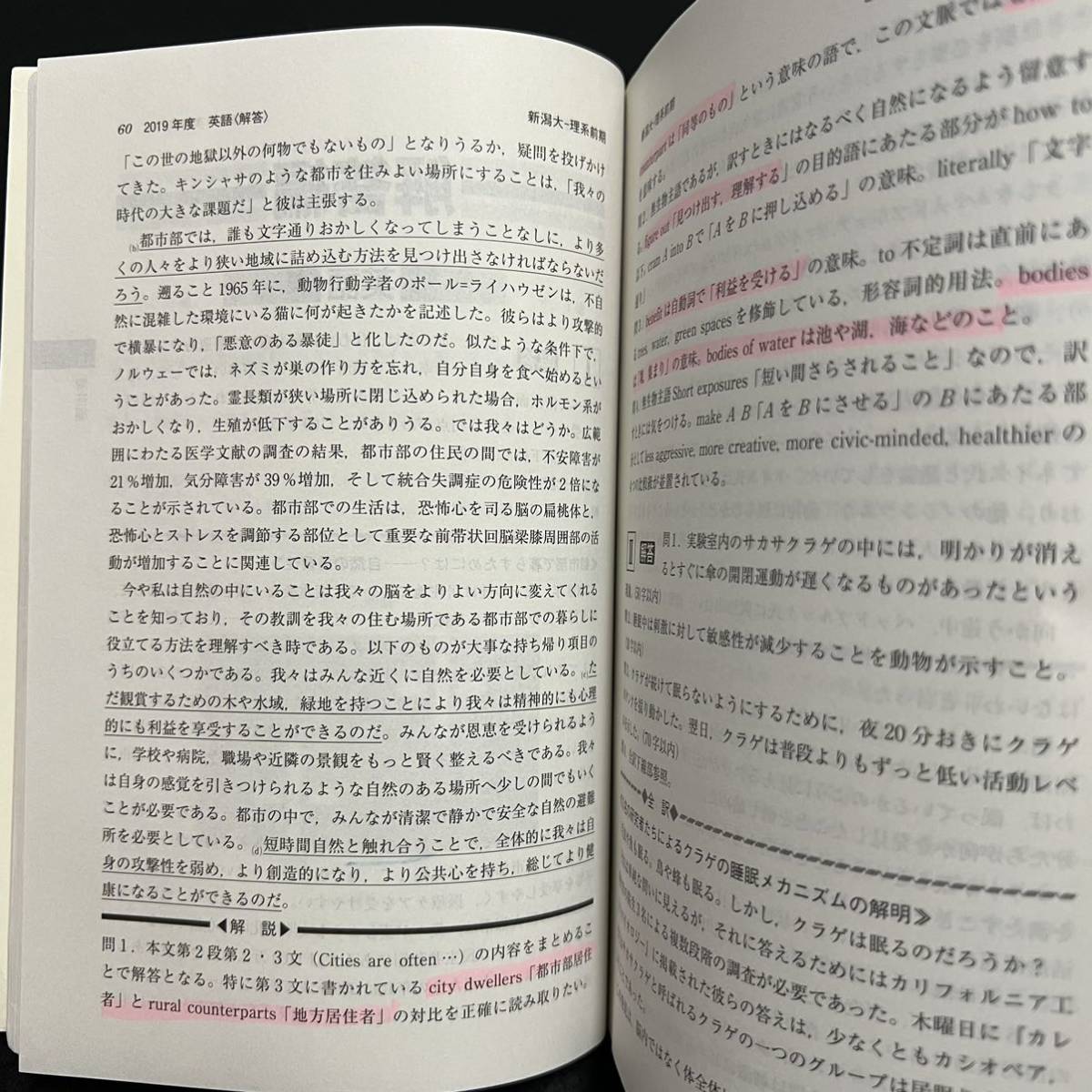 【翌日発送】　赤本　新潟大学　理系　医学部　2008年～2019年　12年分