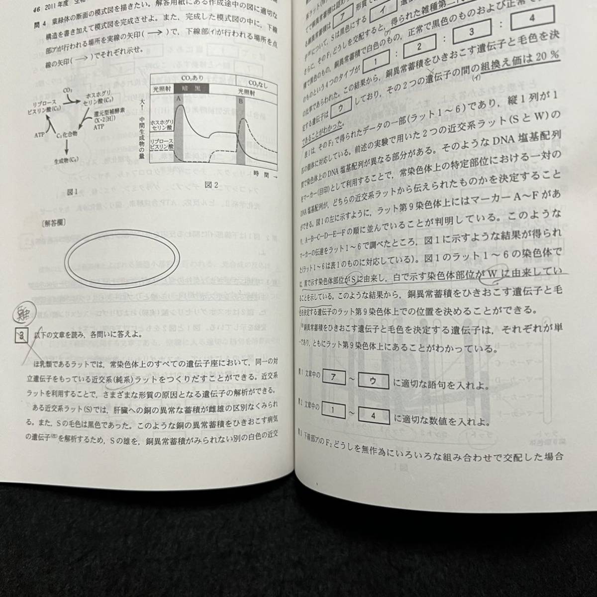 【翌日発送】　新潟大学　赤本　理系　医学部　2008年～2019年 12年分_画像5