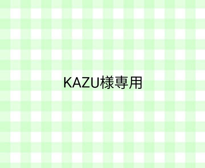 KAZU様専用｜Yahoo!フリマ（旧PayPayフリマ）