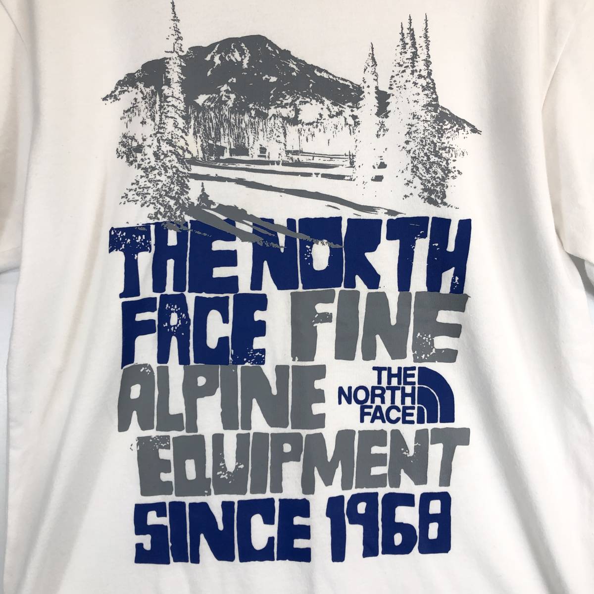 ノースフェイス The North Face 半袖Tシャツ ホワイト Sサイズ メンズ NT31401Z