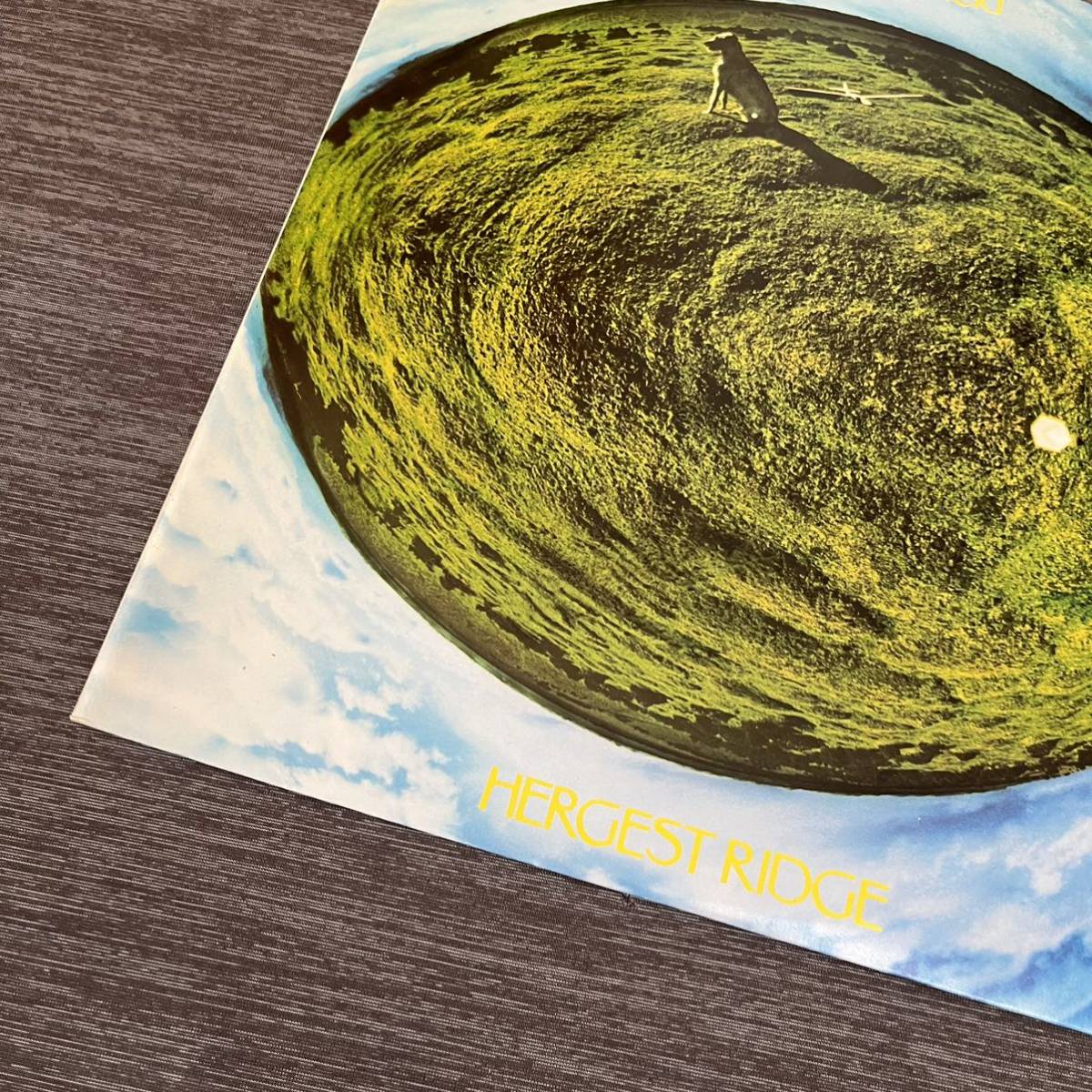 【国内盤】MIKE OLDFIELD HERGEST RIDGE マイクオールドフィールド 夢と幻の地平線/ LP レコード/ VIP6915 / ライナー有 /_画像3