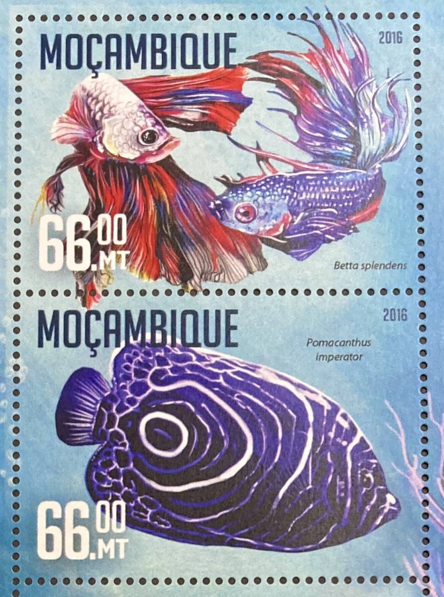 モザンビーク 2016年発行 魚 切手 未使用 NHの画像2