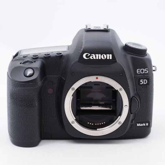 とっておきし福袋 Canon キヤノン デジタル一眼レフカメラ EOS 5D