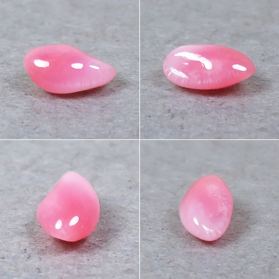 《tiny》コンクパール(conch pearl) ルース(0.14ct)_画像5