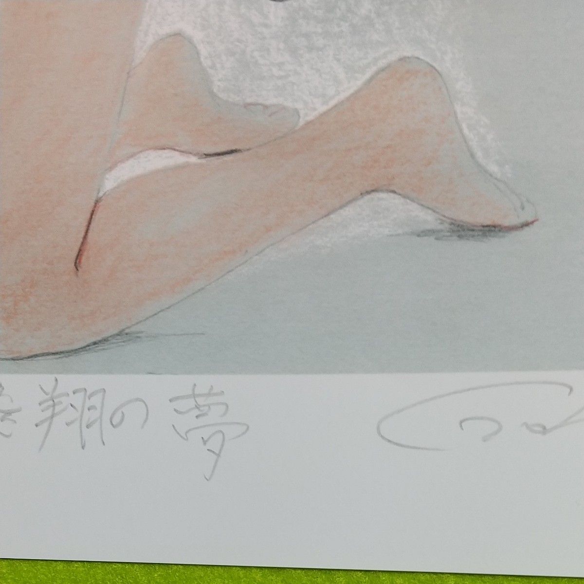 石川吾郎の原画、版画カラーアート限定版  [飛翔の夢]