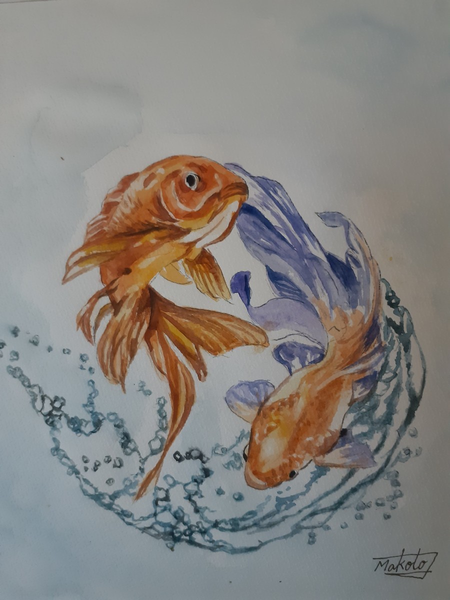 水彩画　金魚