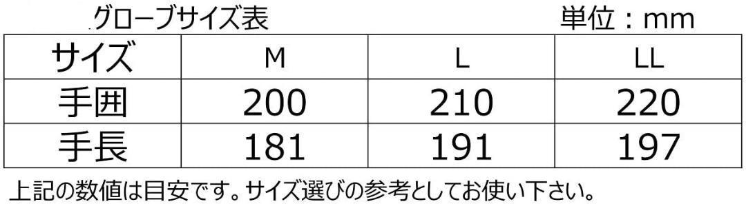 【54％引き】（7002）弐黒堂　WBGN-221　RD（L）メッシュ グローブ 【翔破】_画像5
