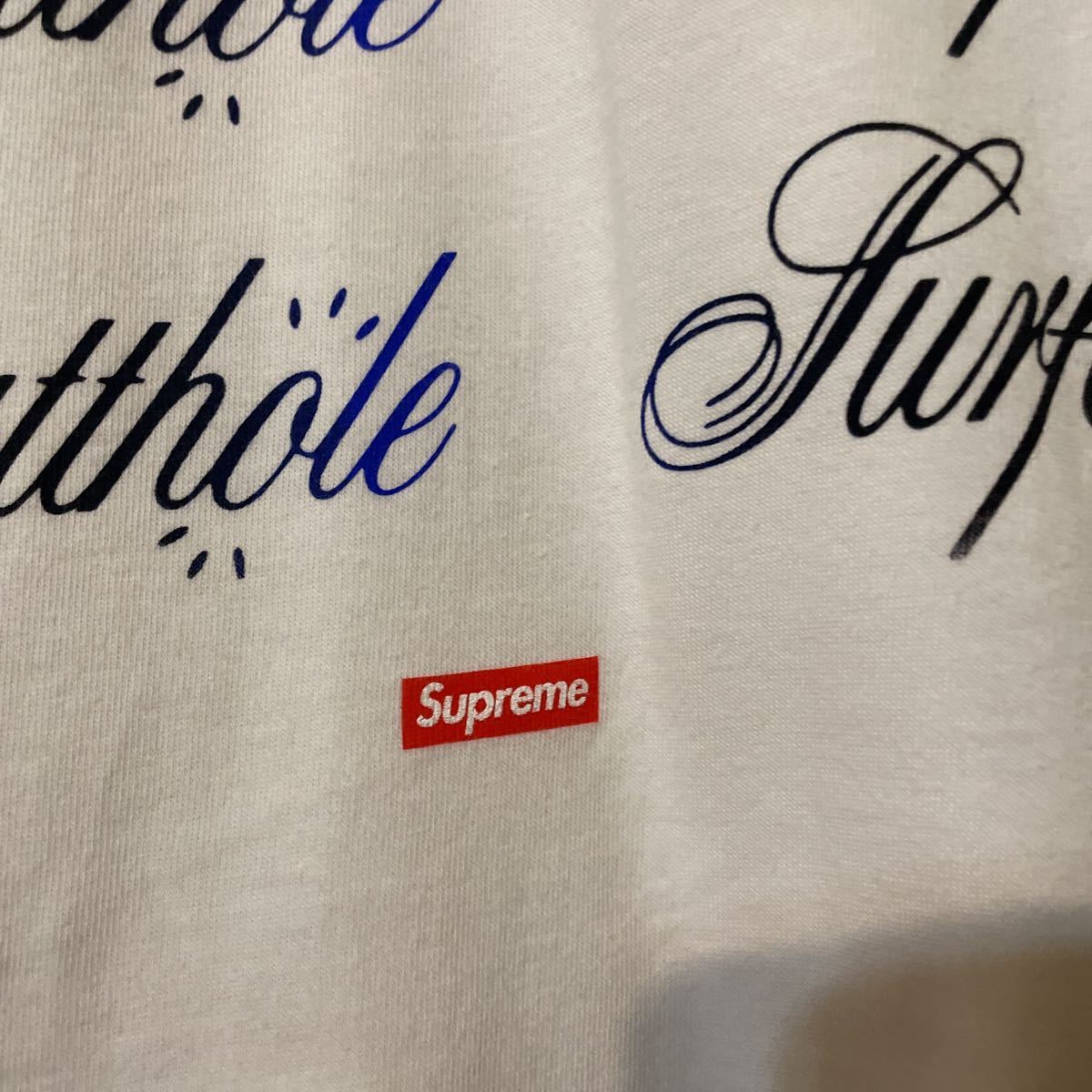 希少『SUPREME』21S/S「Butthole Surfers」Psychic TEE 国内正規品 シュプリーム バットホールサーファーズ サイキック ストリート Tシャツ_画像6