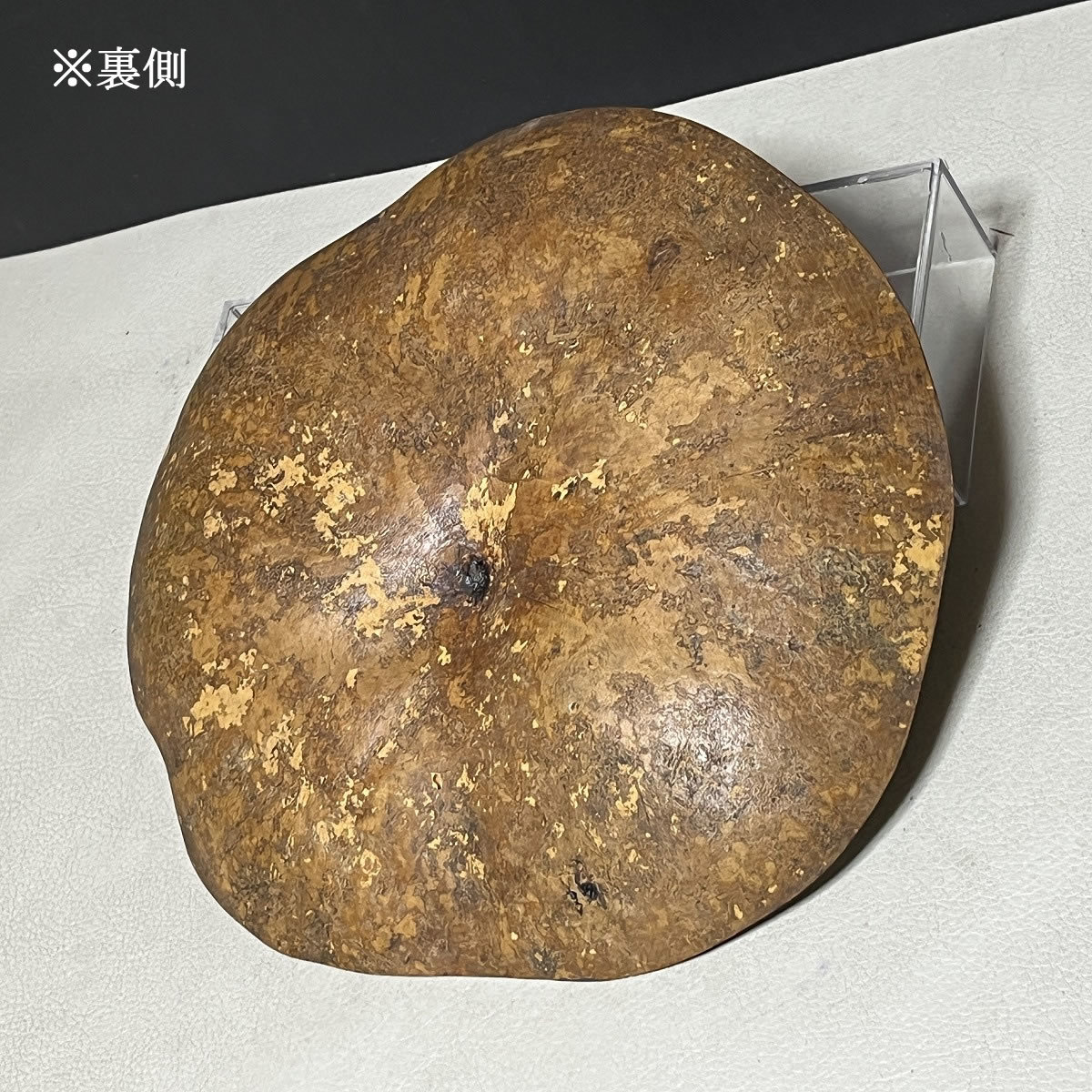 売却 瓢箪 虫画 干菓子器 共箱 書付 菓子皿 虫の絵 菓子器 茶道具