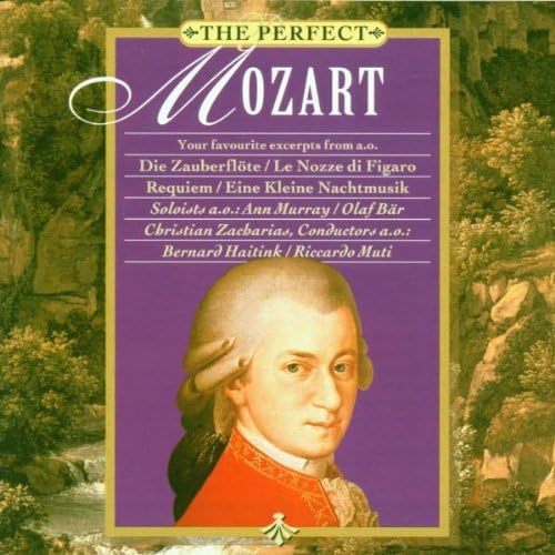 Perfect Mozart Wolfgang Amadeus Mozart 輸入盤CD_画像1