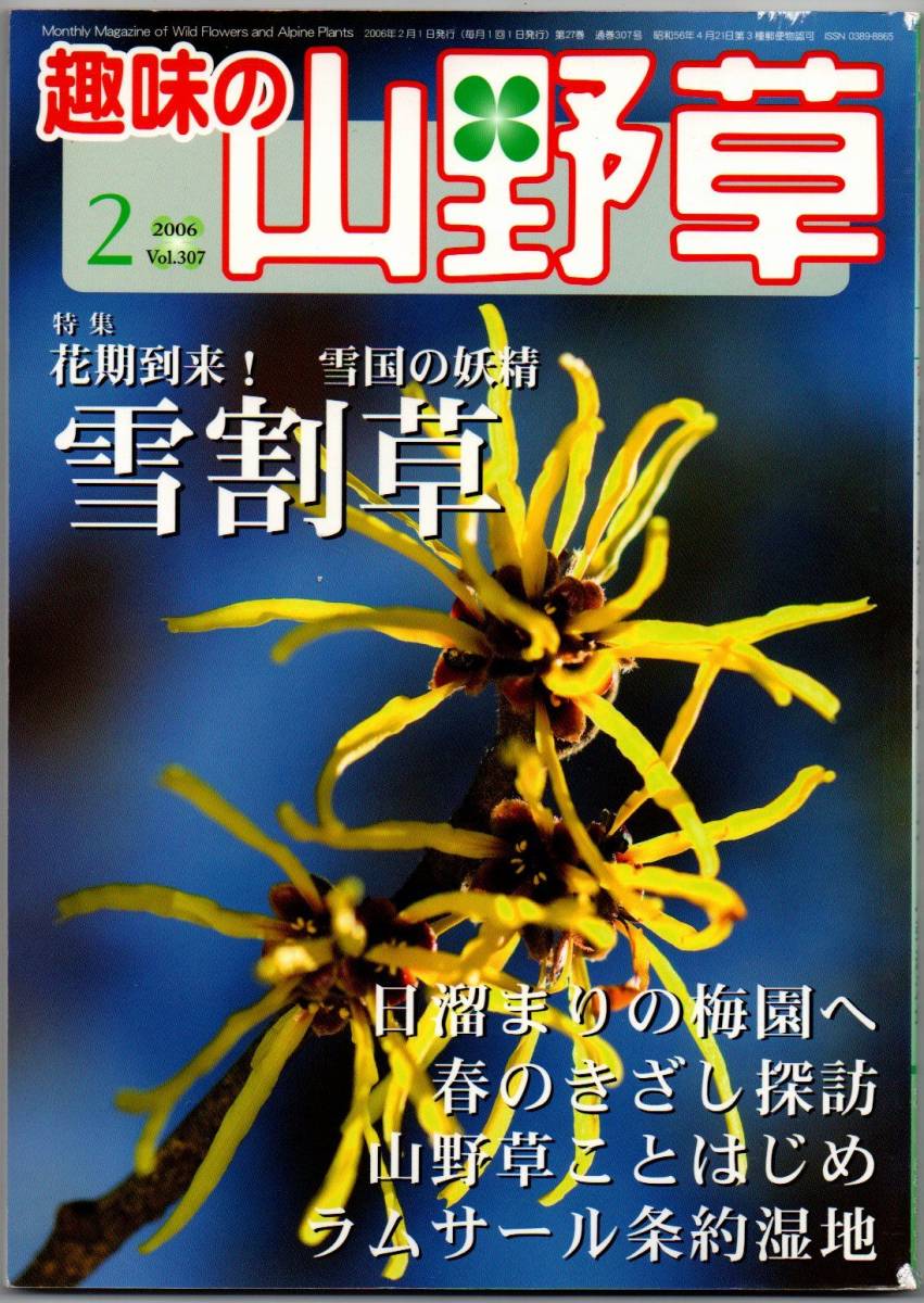 108* 趣味の山野草 2006年 02月号 雪割草 日溜まりの梅園へ ラムサール条約湿地_画像1