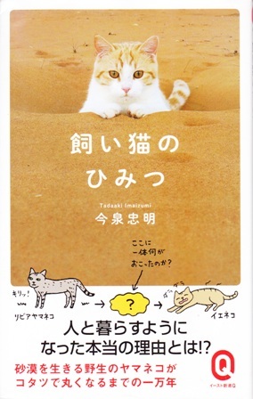 【飼い猫のひみつ】今泉忠明　イースト新書 _画像1