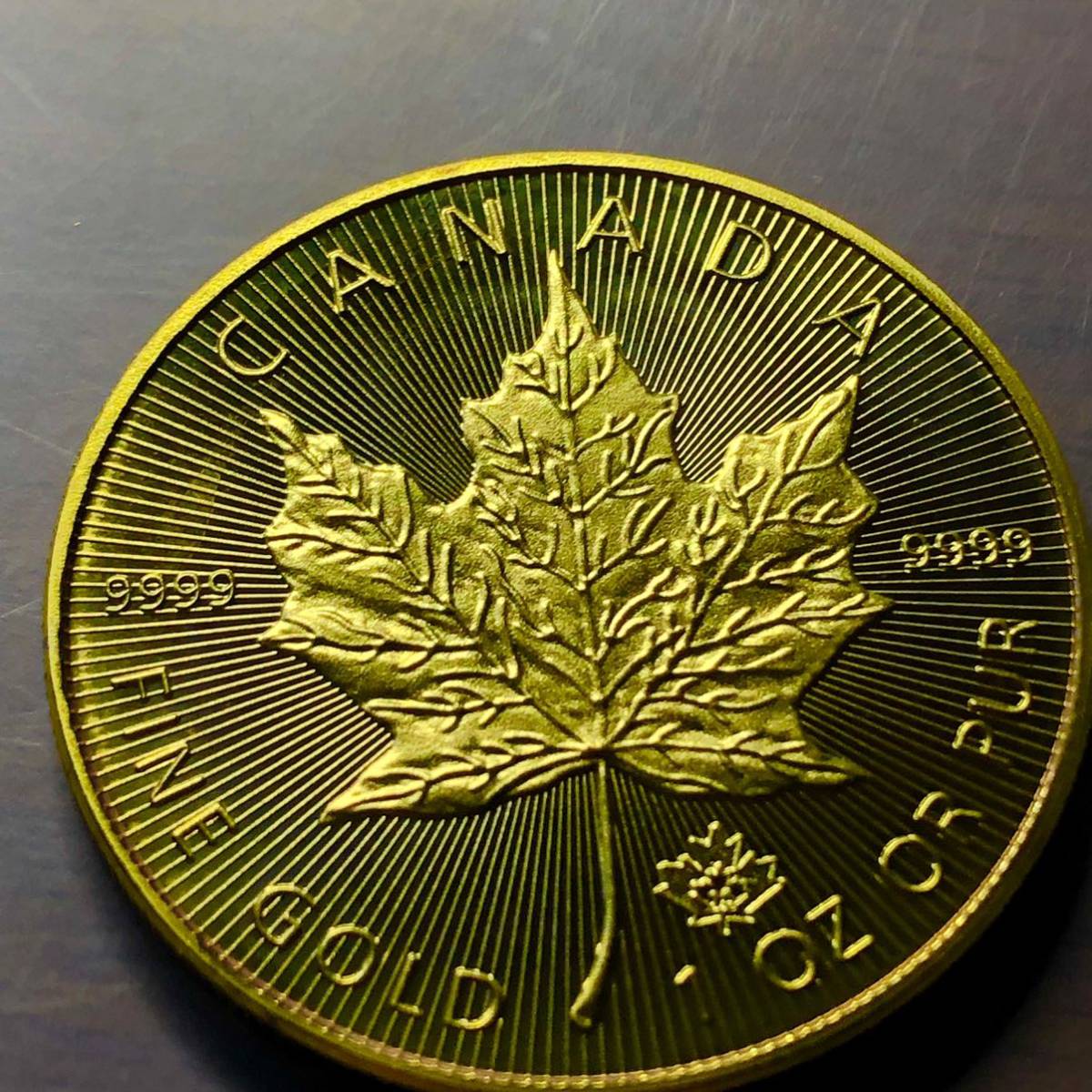 古銭 外国金貨 カナダ メープルリーフ エリザベス2世 大型硬貨の入札