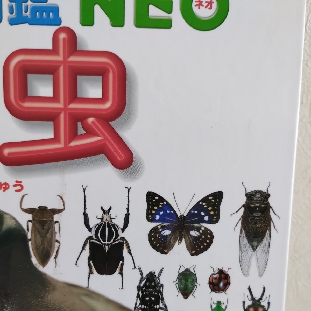 小学館の図鑑NEO 昆虫 図鑑 小学館 | www.qmsbrasil.com.br