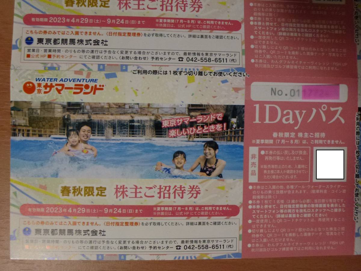 東京サマーランド 1Dayパス 春秋限定招待券 4枚＋株主ご招待券 4枚