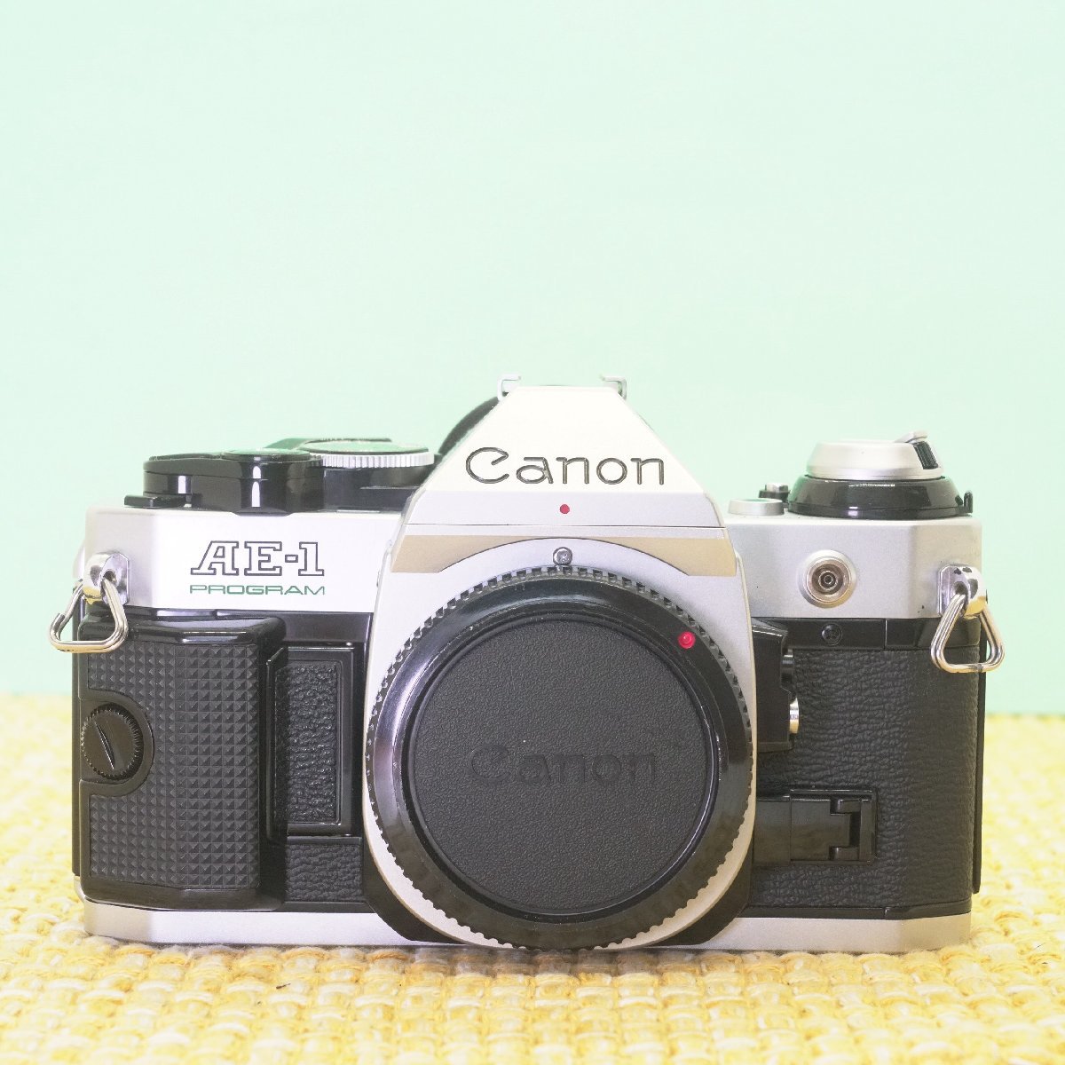 国際ブランド】 AE-1 完動品◎Canon プログラム フィルムカメラ95 防湿