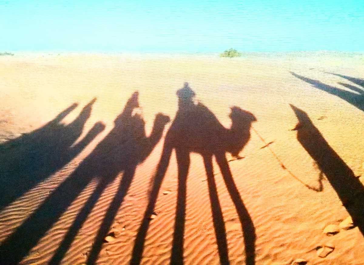 ■世界の砂【モロッコ メルズーカ大砂丘 サハラ砂漠の砂】袋入り約10g コレクション 2015年3月採集の画像7