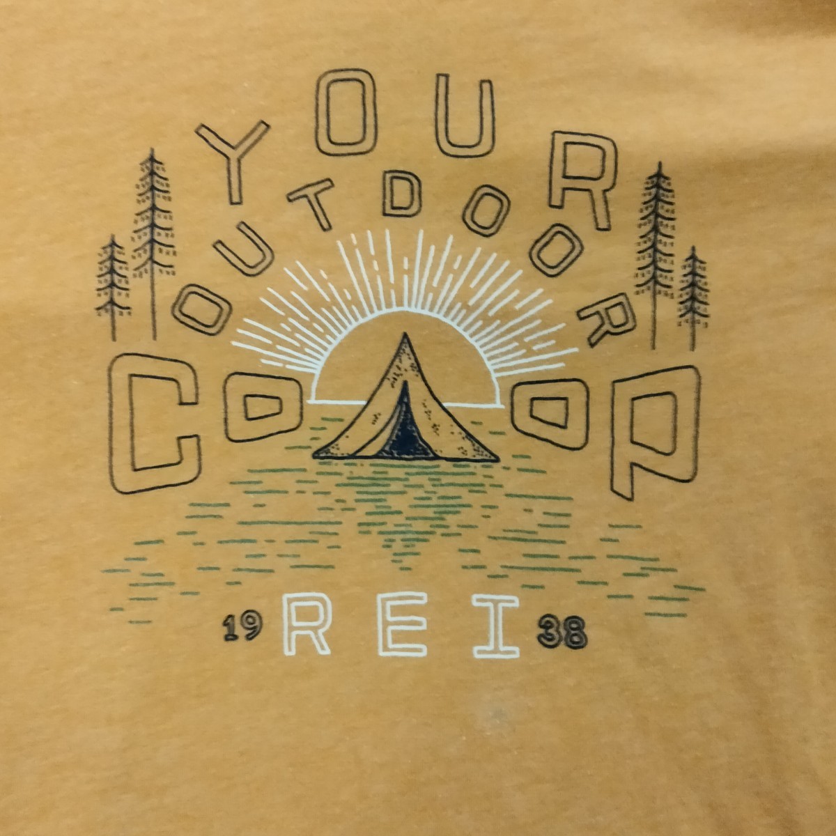  REI coop アールイーアイ 半袖 プリント Tシャツ 60年代 レトロ クラシック アウトドア キャップ スタイル L outdoor camp レイの画像4