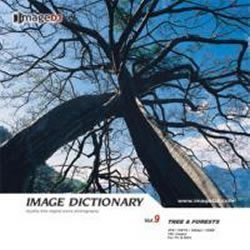 [ used ] image ti comb .na Lee Vol.9 tree . forest 