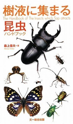 【中古】 樹液に集まる昆虫ハンドブック_画像1