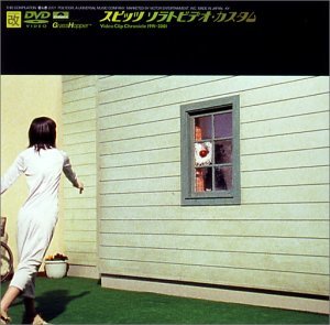 【中古】 ソラトビデオ・カスタム～VIDEO CLIP CHRONICLE 1991-2001～ [DVD]_画像1