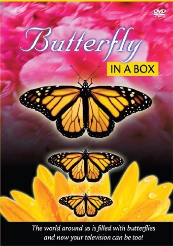 【中古】 Butterfly in a Box [DVD] [輸入盤]