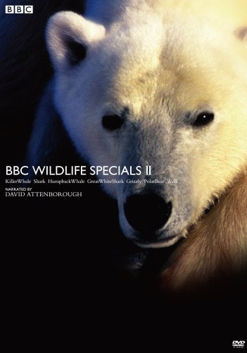 【中古】 BBC ワイルドライフ・スペシャルII DVD BOX_画像1