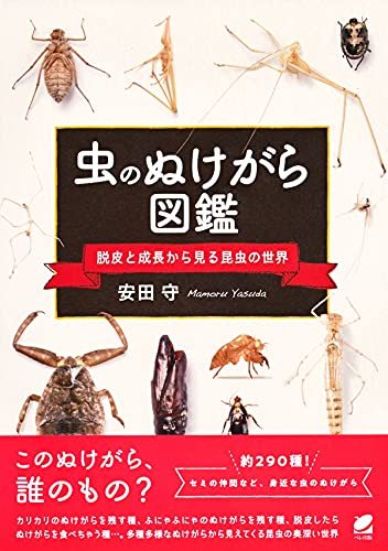 【中古】 虫のぬけがら図鑑 脱皮と成長から見る昆虫の世界_画像1