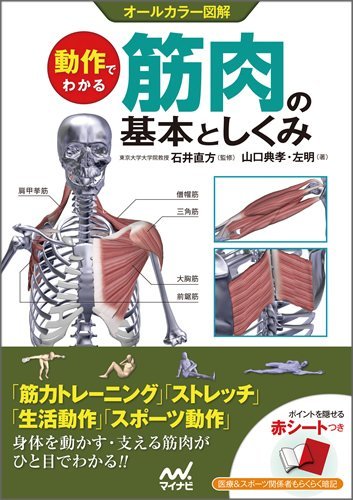 【中古】 動作でわかる筋肉の基本としくみ_画像1