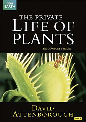 【中古】 BBC The Private Life of Plants -植物の世界- DVD-BOX BBC EART_画像1