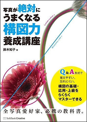 【中古】 写真が絶対にうまくなる 構図力養成講座_画像1