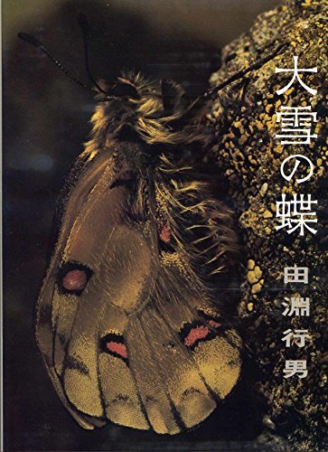 【中古】 大雪の蝶 (1978年)