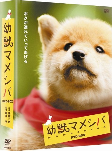 【中古】 幼獣マメシバ DVD BOX