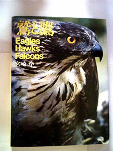 【中古】 鷲と鷹 (1981年)