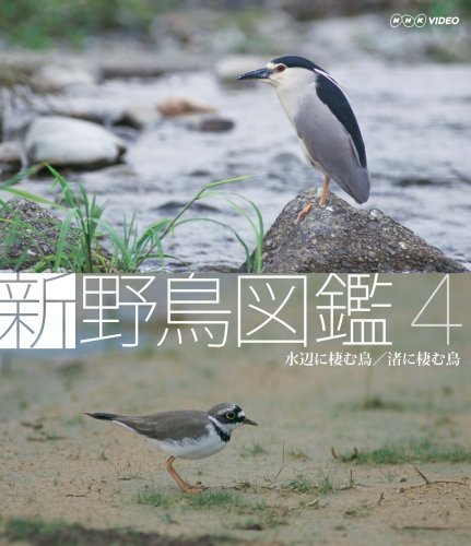 【中古】 新 野鳥図鑑 第4集 水辺に棲む鳥/渚に棲む鳥 [Blu-ray]