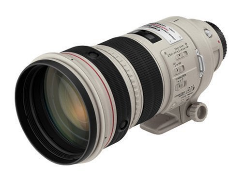 【中古】 Canon キャノン EF Lレンズ 300mm F2.8L IS USM