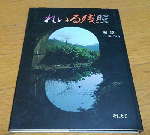 【中古】 れいる残照_画像1