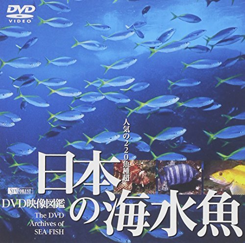 【中古】 シンフォレストDVD 日本の海水魚 DVD映像図鑑_画像1